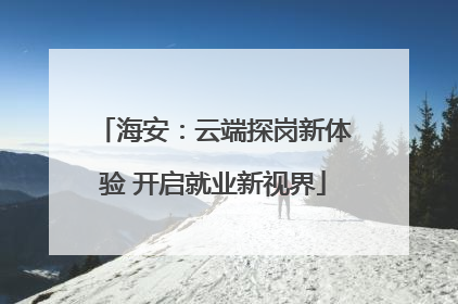 海安：云端探岗新体验 开启就业新视界