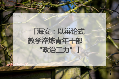 海安：以辩论式教学淬炼青年干部“政治三力”