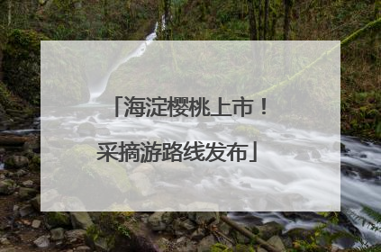 海淀樱桃上市！采摘游路线发布