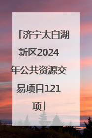 济宁太白湖新区2024年公共资源交易项目121项