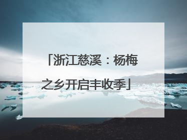 浙江慈溪：杨梅之乡开启丰收季
