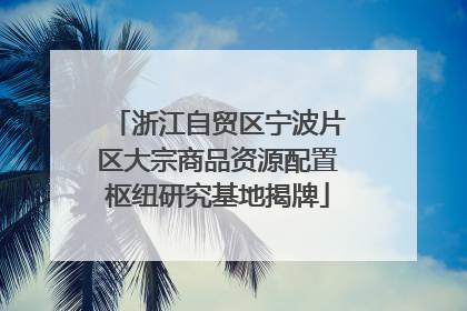 浙江自贸区宁波片区大宗商品资源配置枢纽研究基地揭牌