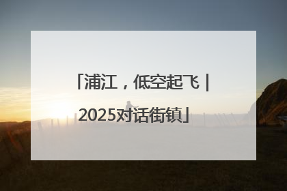 浦江，低空起飞｜2025对话街镇
