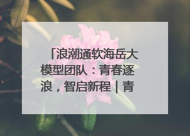 浪潮通软海岳大模型团队：青春逐浪，智启新程｜青春思政课