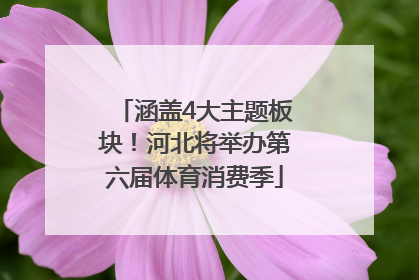 涵盖4大主题板块！河北将举办第六届体育消费季