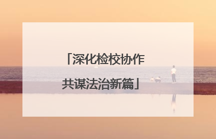 深化检校协作 共谋法治新篇