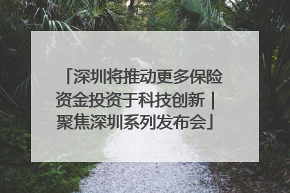 深圳将推动更多保险资金投资于科技创新｜聚焦深圳系列发布会