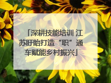 深耕技能培训 江苏盱眙打造“职”通车赋能乡村振兴