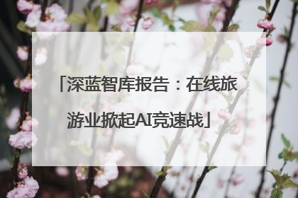 深蓝智库报告：在线旅游业掀起AI竞速战