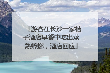 游客在长沙一家桔子酒店早餐中吃出蒸熟蟑螂，酒店回应