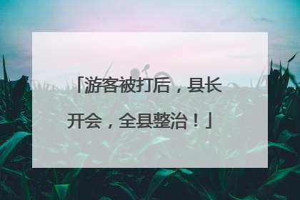 游客被打后，县长开会，全县整治！
