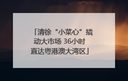 清徐“小菜心”撬动大市场 36小时直达粤港澳大湾区