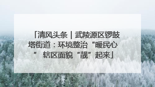 清风头条｜武陵源区锣鼓塔街道：环境整治“暖民心” 辖区面貌“靓”起来