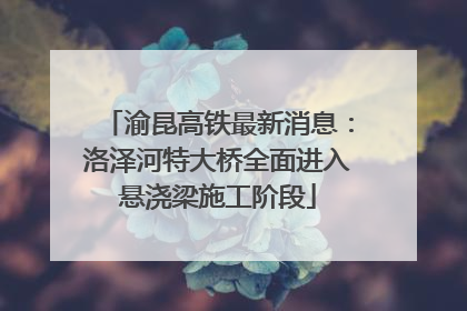 渝昆高铁最新消息：洛泽河特大桥全面进入悬浇梁施工阶段