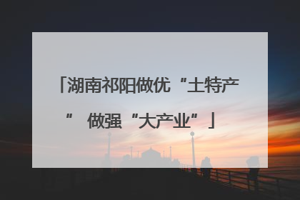 湖南祁阳做优“土特产” 做强“大产业”