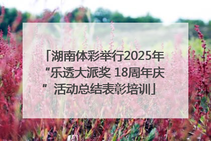 湖南体彩举行2025年“乐透大派奖 18周年庆”活动总结表彰培训