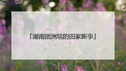 湖南团洲垸的田家新事