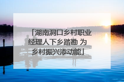 湖南洞口乡村职业经理人下乡踏勘 为乡村振兴添动能