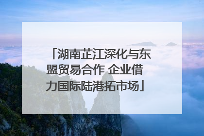 湖南芷江深化与东盟贸易合作 企业借力国际陆港拓市场