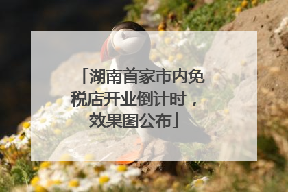 湖南首家市内免税店开业倒计时，效果图公布