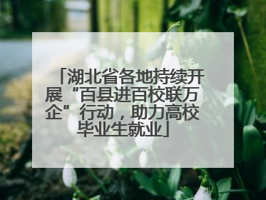 湖北省各地持续开展“百县进百校联万企”行动，助力高校毕业生就业