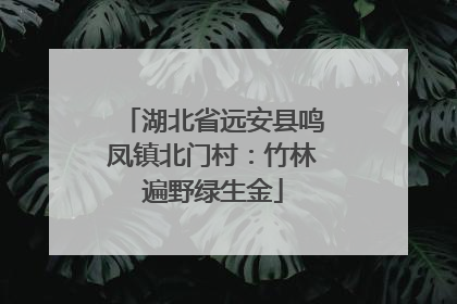 湖北省远安县鸣凤镇北门村：竹林遍野绿生金