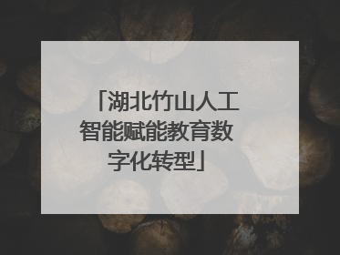 湖北竹山人工智能赋能教育数字化转型