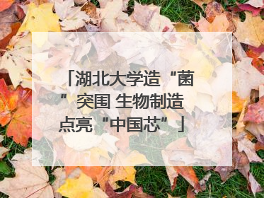 湖北大学造“菌”突围 生物制造点亮“中国芯”