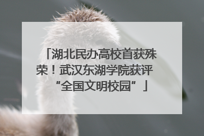湖北民办高校首获殊荣！武汉东湖学院获评“全国文明校园”