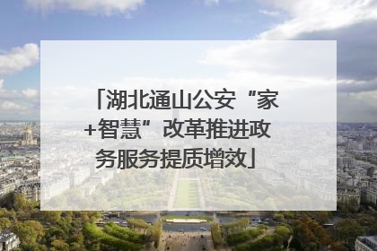 湖北通山公安“家+智慧”改革推进政务服务提质增效