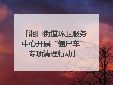 湘口街道环卫服务中心开展“僵尸车”专项清理行动