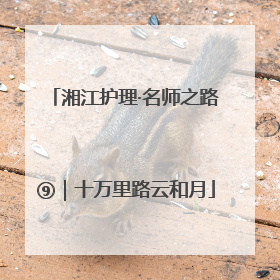 湘江护理·名师之路⑨｜十万里路云和月