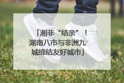 湘非“结亲”！湖南八市与非洲九城缔结友好城市
