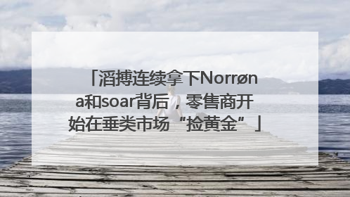滔搏连续拿下Norrøna和soar背后，零售商开始在垂类市场“捡黄金”