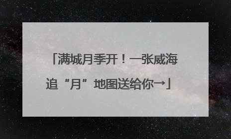 满城月季开！一张威海追“月”地图送给你→