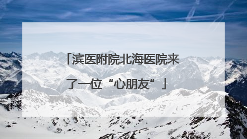 滨医附院北海医院来了一位“心朋友”