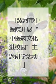 漯河市中医院开展“中医药文化进校园”主题研学活动
