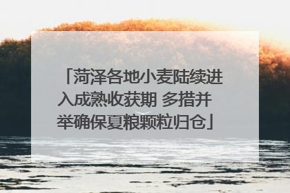 菏泽各地小麦陆续进入成熟收获期 多措并举确保夏粮颗粒归仓
