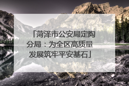 菏泽市公安局定陶分局：为全区高质量发展筑牢平安基石