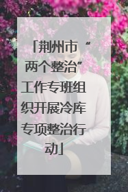 荆州市“两个整治”工作专班组织开展冷库专项整治行动