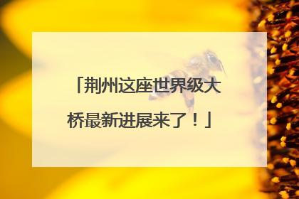 荆州这座世界级大桥最新进展来了！