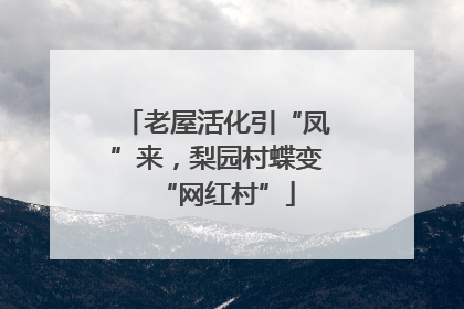 老屋活化引“凤”来，梨园村蝶变“网红村”