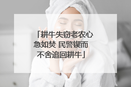 耕牛失窃老农心急如焚 民警锲而不舍追回耕牛