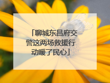 聊城东昌府交警这两场救援行动暖了民心