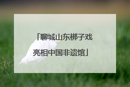 聊城山东梆子戏亮相中国非遗馆
