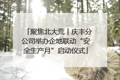 聚焦北大荒丨庆丰分公司举办企地联动“安全生产月”启动仪式