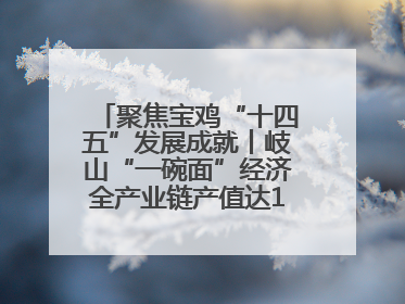 聚焦宝鸡“十四五”发展成就丨岐山“一碗面”经济全产业链产值达162亿元 入选全国典型县