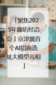 聚焦2025年廊坊经洽会丨京津冀首个AI招商选址大模型亮相