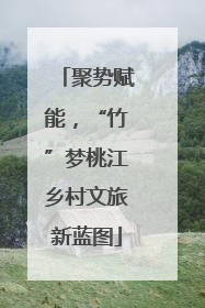 聚势赋能，“竹”梦桃江乡村文旅新蓝图