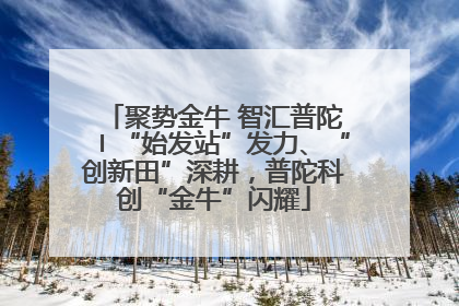 聚势金牛 智汇普陀〡“始发站”发力、“创新田”深耕，普陀科创“金牛”闪耀